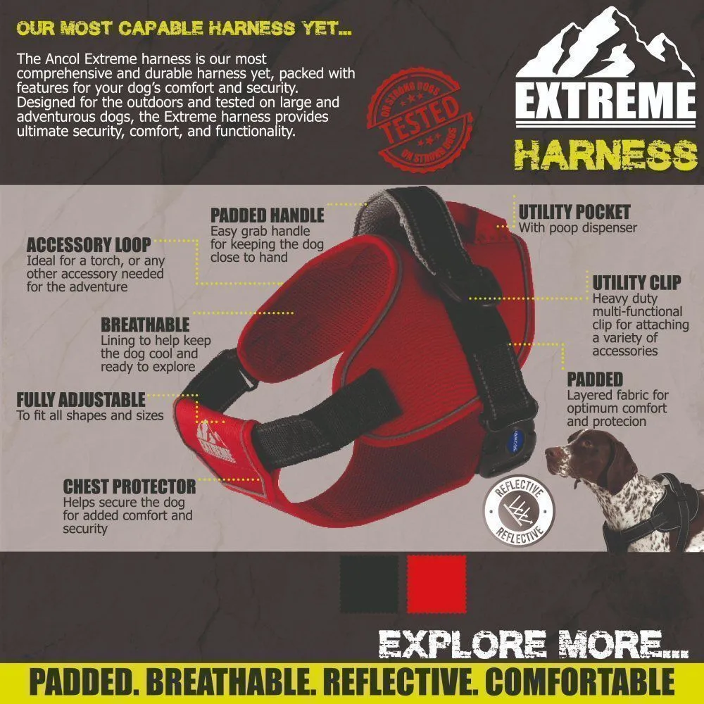 Ancol Extreme Medium Black Harness