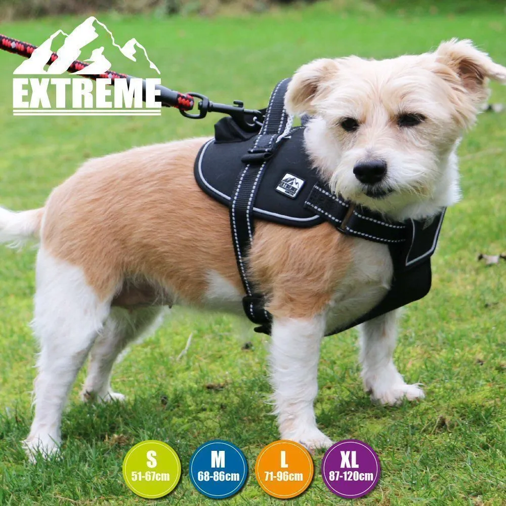 Ancol Extreme Medium Black Harness