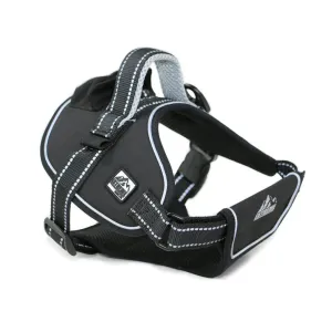 Ancol Extreme Medium Black Harness