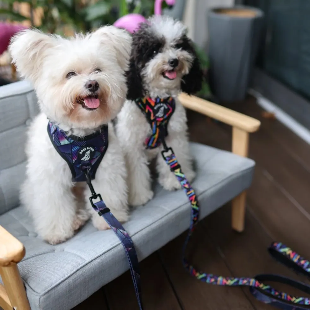 Boss & Olly Adjustable Dog Harness (Aztec Rainbow)