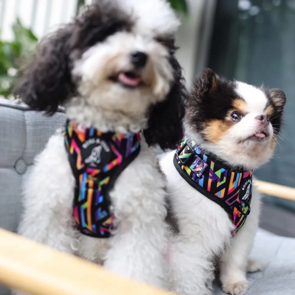 Boss & Olly Adjustable Dog Harness (Aztec Rainbow)