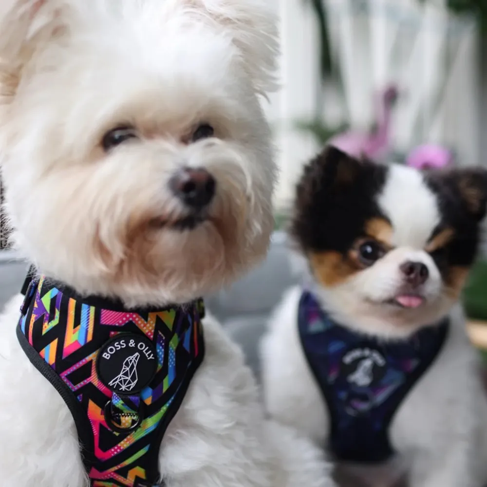 Boss & Olly Adjustable Dog Harness (Aztec Rainbow)