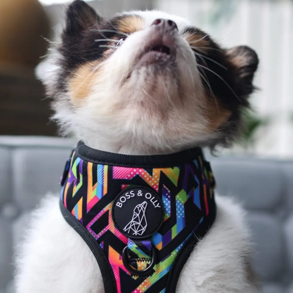 Boss & Olly Adjustable Dog Harness (Aztec Rainbow)