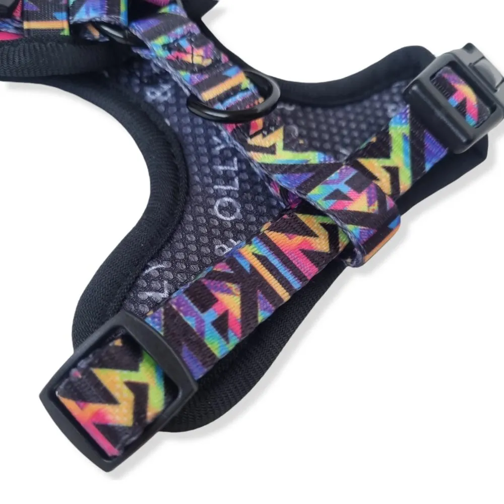 Boss & Olly Adjustable Dog Harness (Aztec Rainbow)