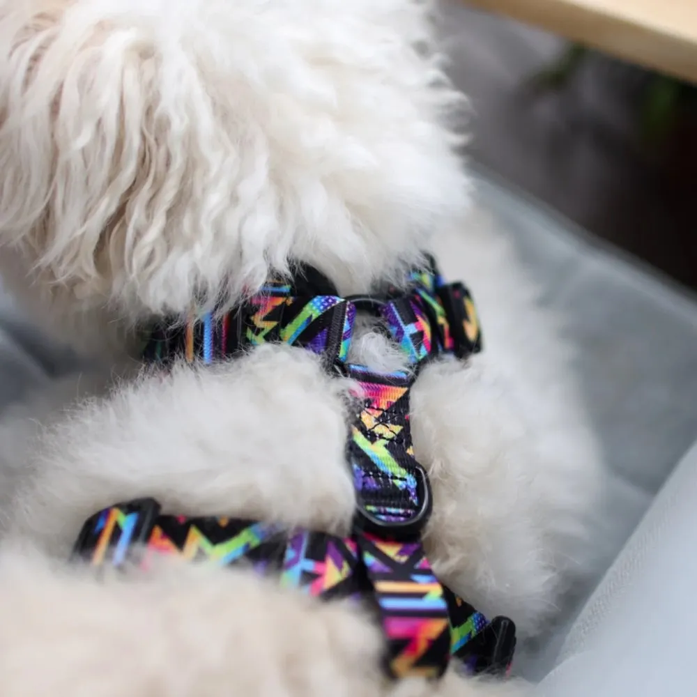Boss & Olly Adjustable Dog Harness (Aztec Rainbow)