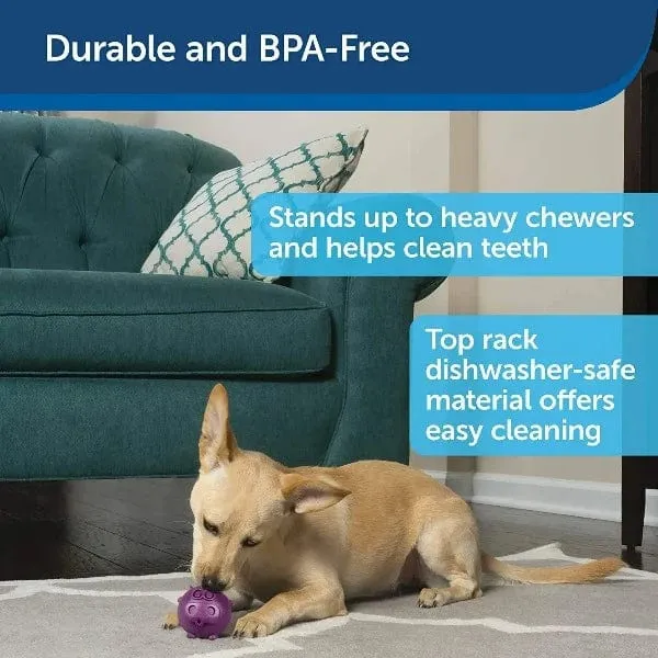 Busy Buddy Animals Treat Dispensing Dog Toy