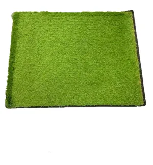 Caravan Entry Ground Grass Matt 650mm X 500mm Rv00013