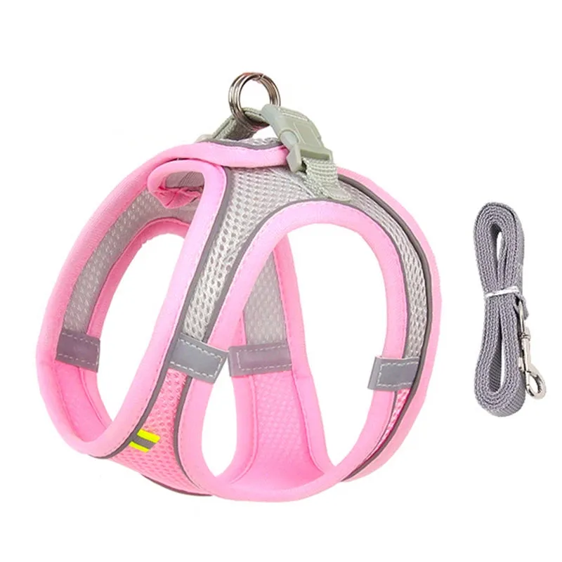 Cat Harness and Leash Set