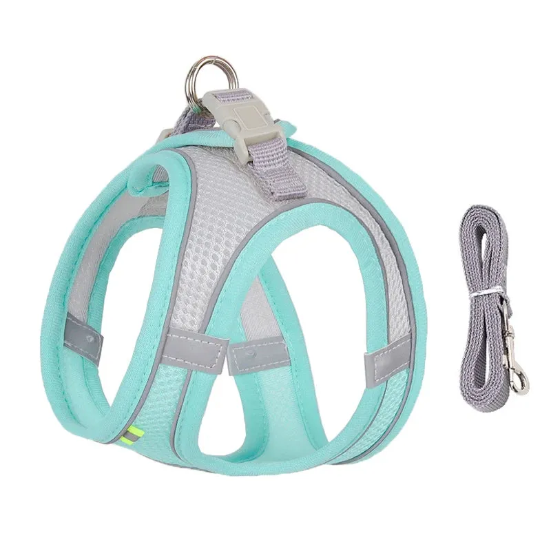 Cat Harness and Leash Set