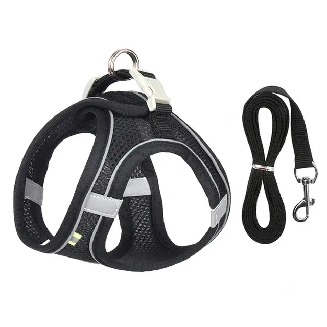 Cat Harness and Leash Set
