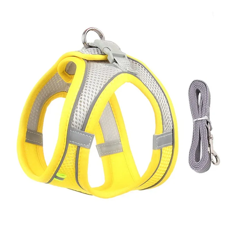Cat Harness and Leash Set