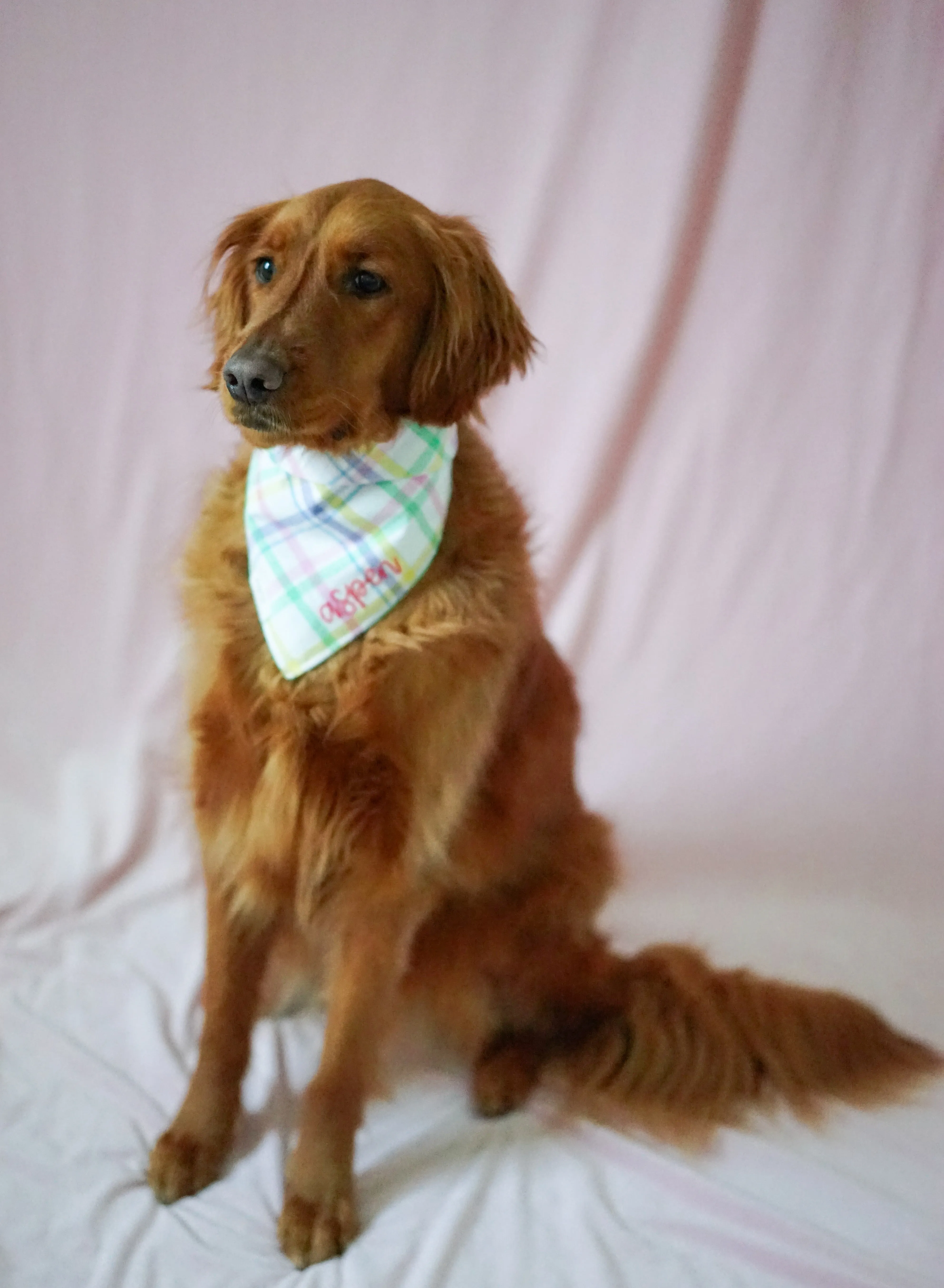 Custom Embroidered Spring Plaid Bandana