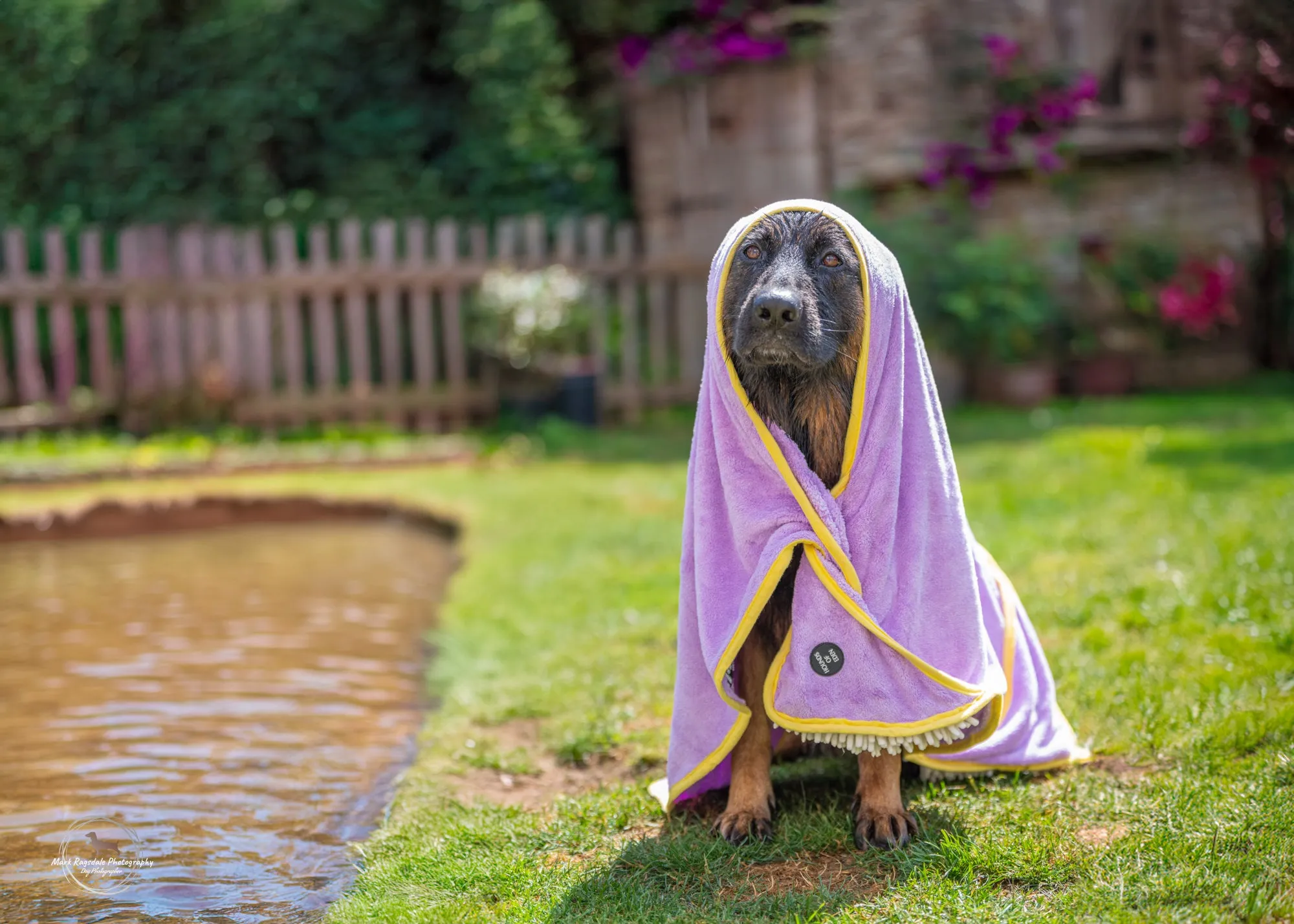 Daisy Dreams - Dog Towel   Carry Bag