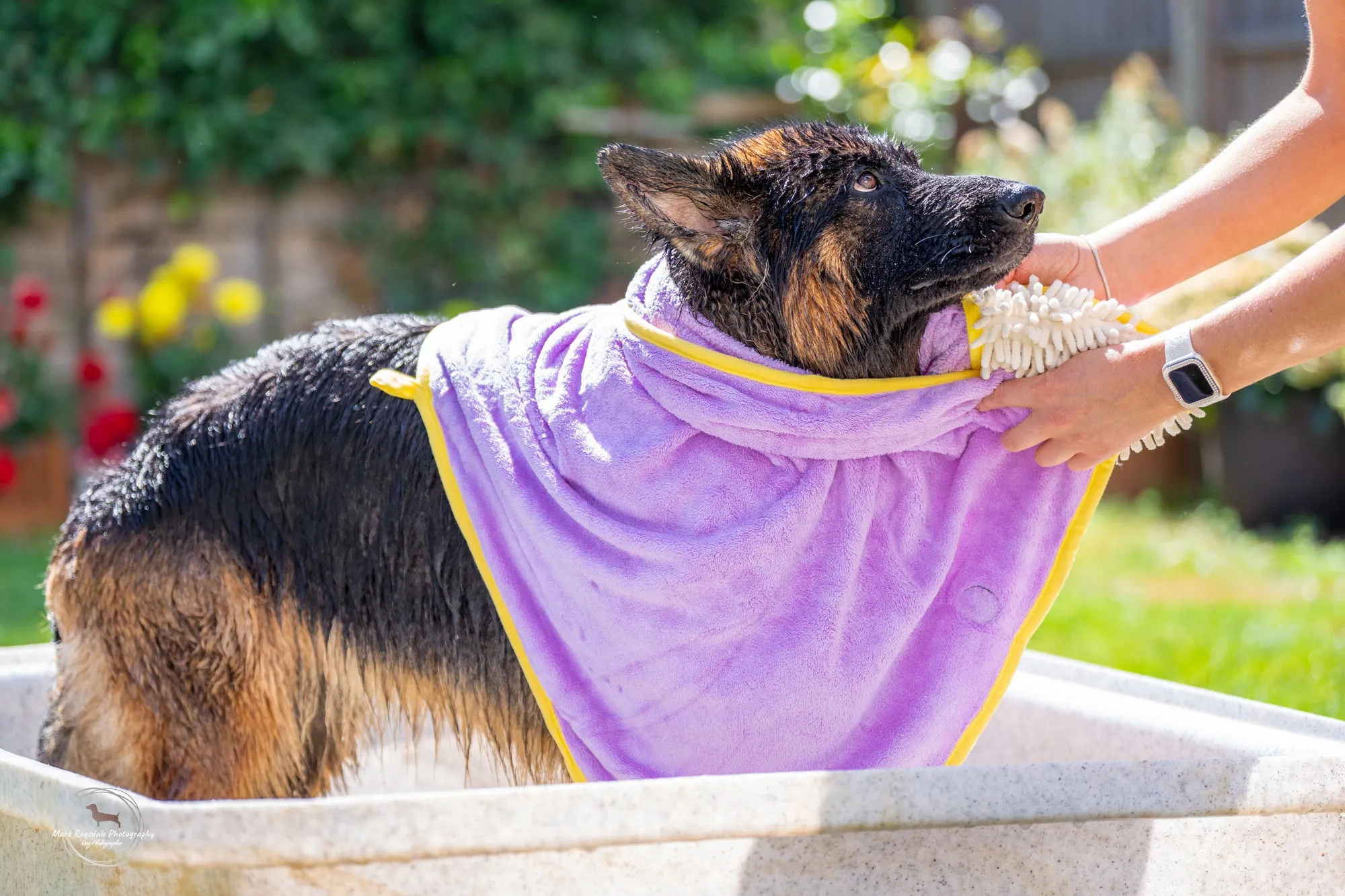 Daisy Dreams - Dog Towel   Carry Bag