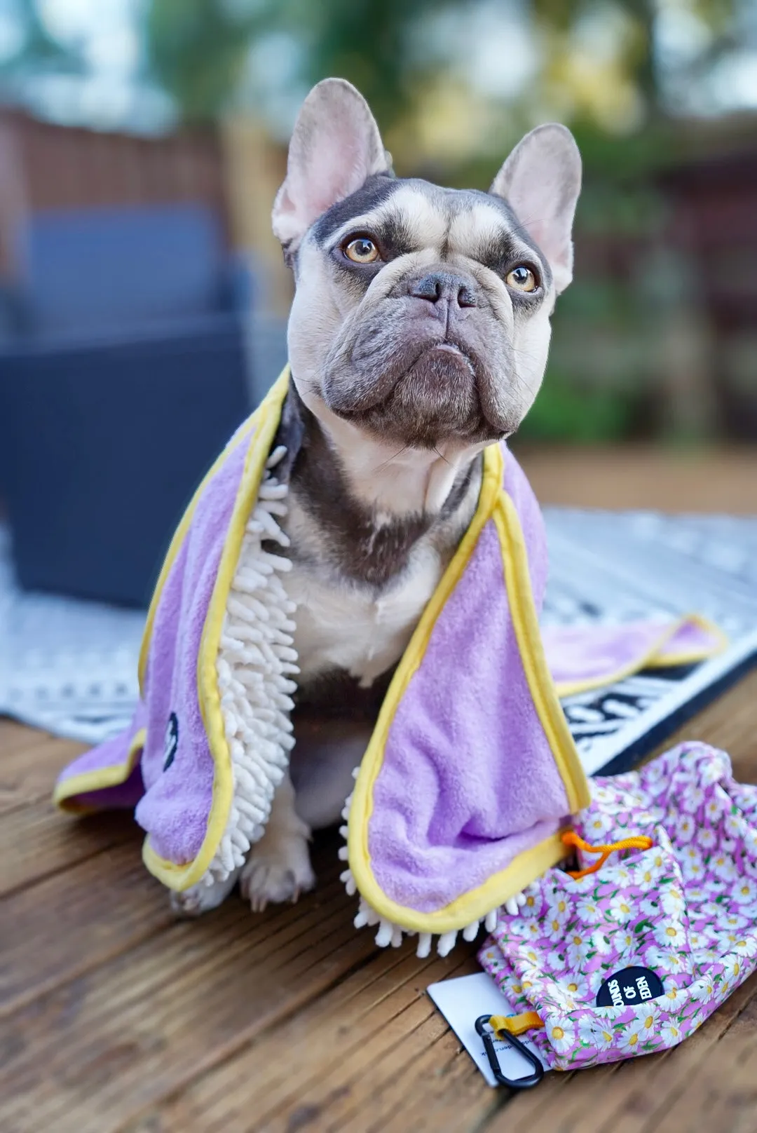Daisy Dreams - Dog Towel   Carry Bag