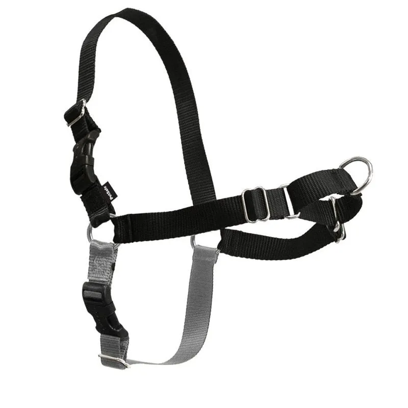 Easy Walk® Harness, No Pull Dog Harness in Black