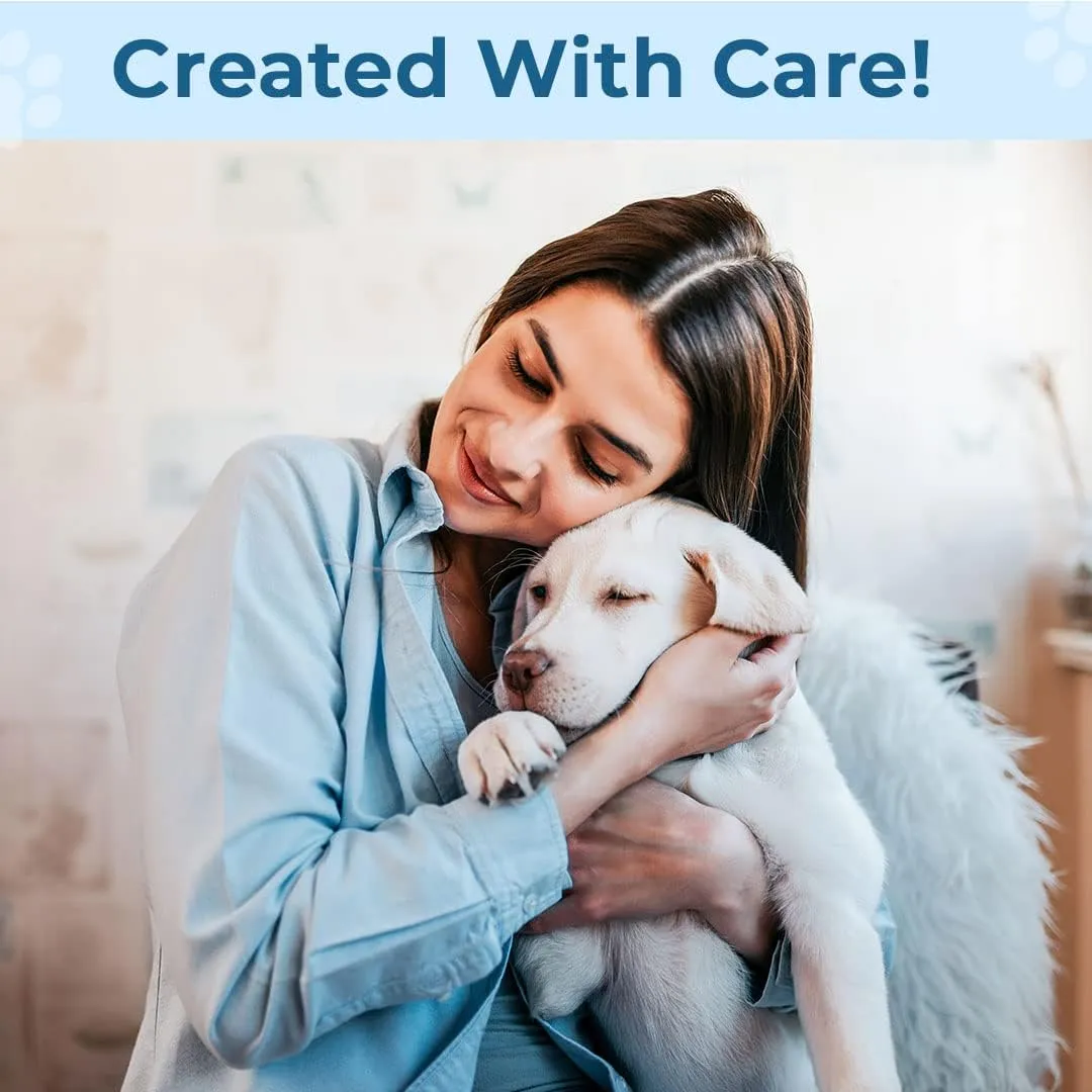 Kuber Industries Rectangular Dog & Cat Bed|Premium Cool Ice Silk Polyester With Bottom Mesh|MultiUtility Self-Cooling Pad For Dog & Cat|Light-weight & Durable Dog Bed|ZQCJ001LB-M|Light Blue(Pack Of 2)