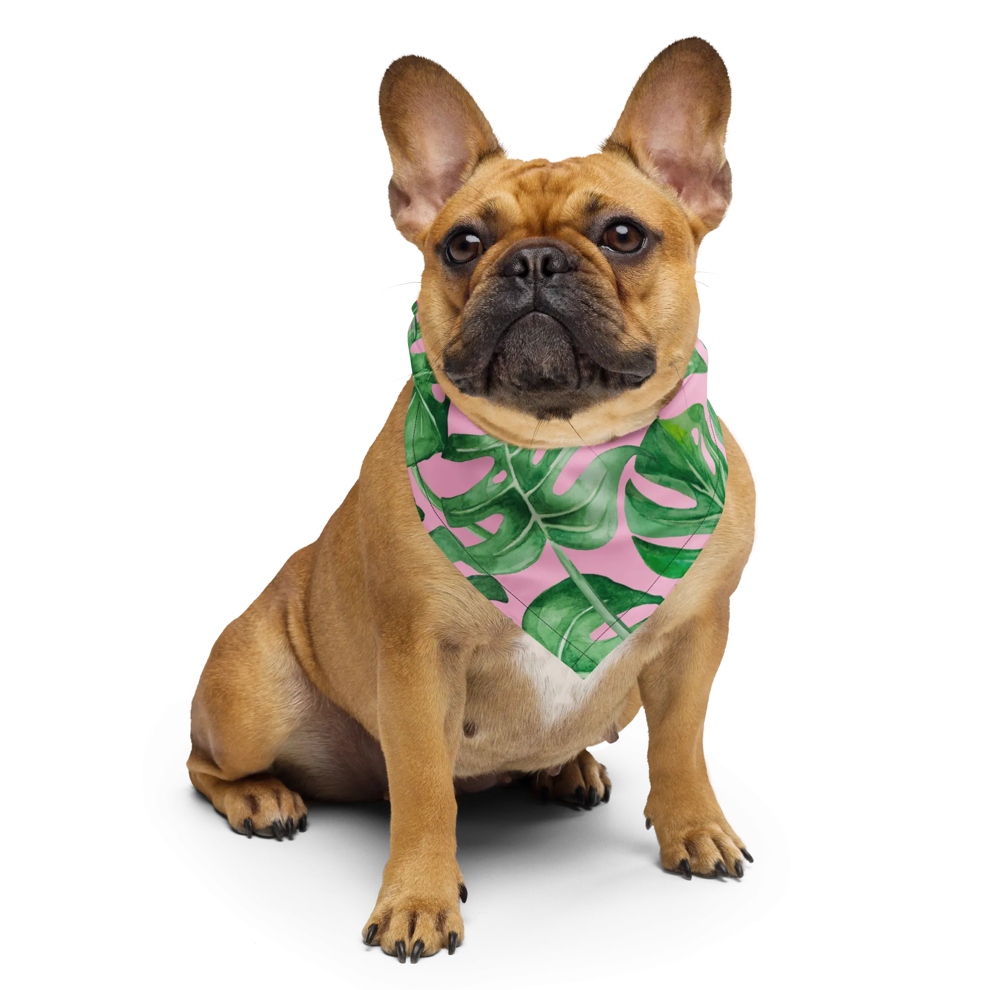 Monstera Pastel bandana