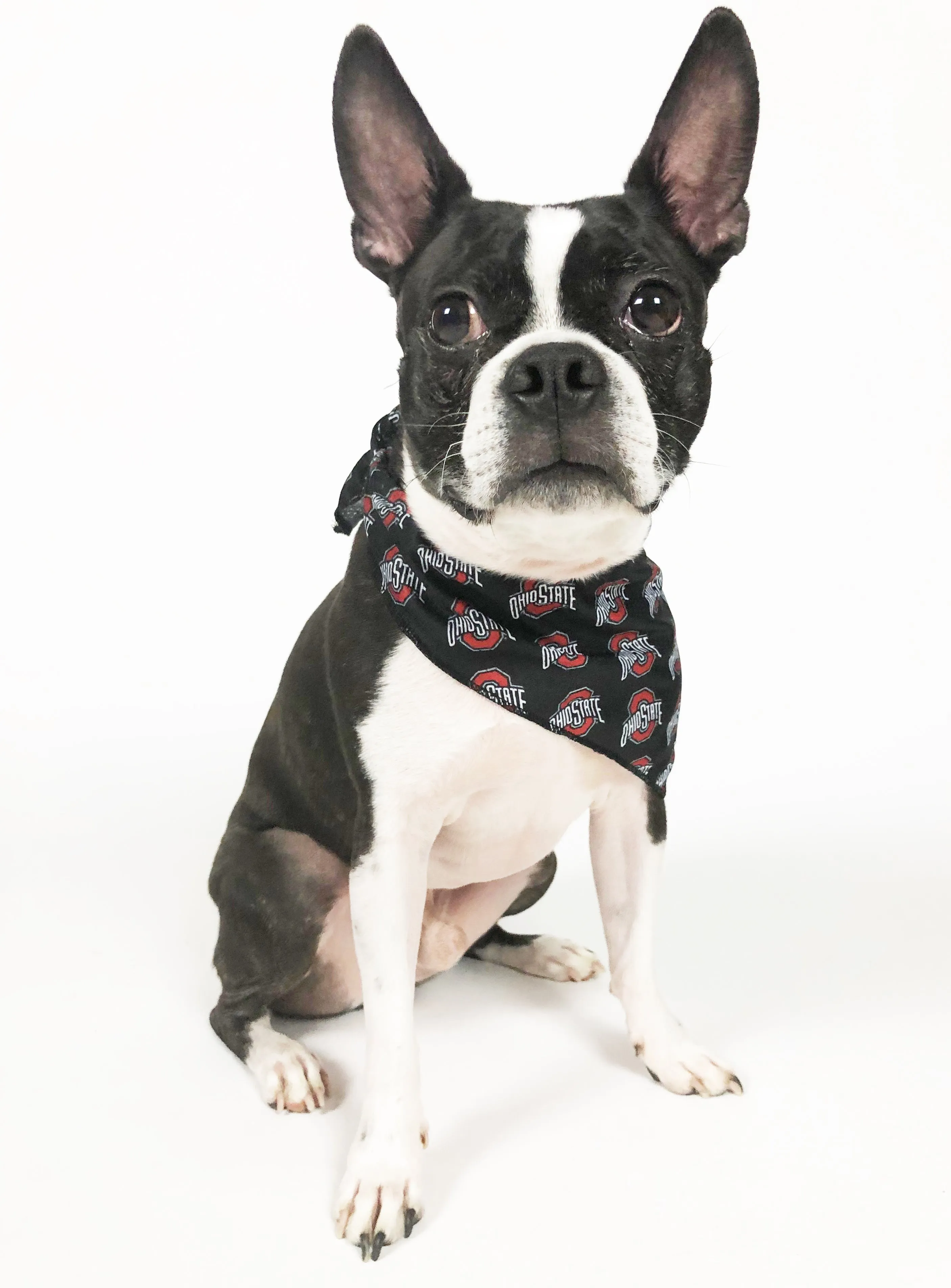 NCAA OHIO STATE | OSU Logo Cooling Bandana