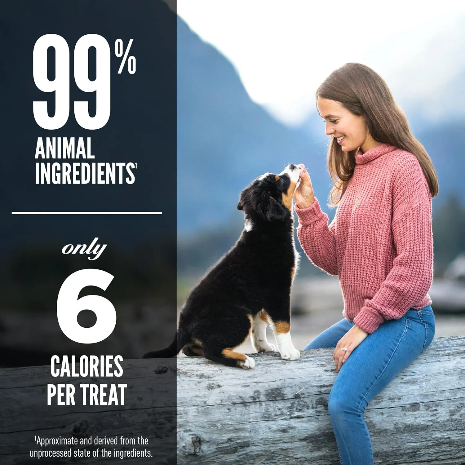 Orijen Grass-Fed Lamb Freeze-Dried Dog Treats