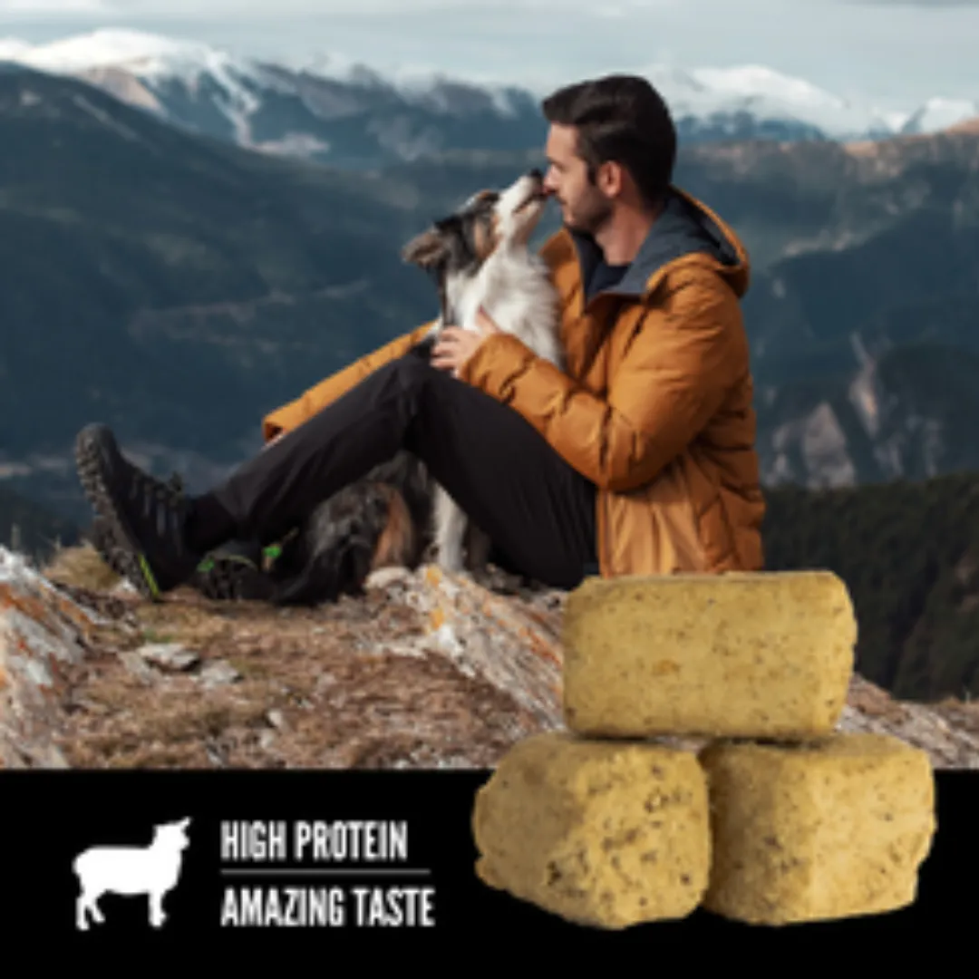 Orijen Grass-Fed Lamb Freeze-Dried Dog Treats