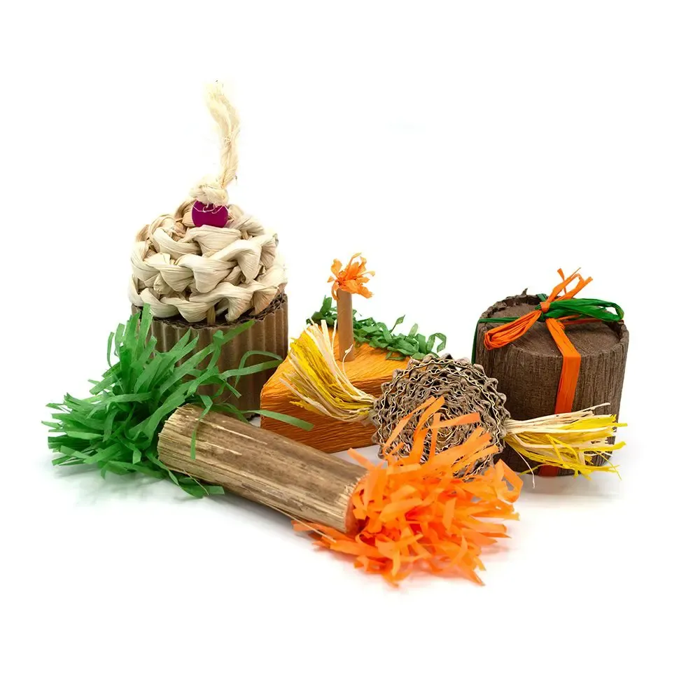 Oxbow Enriched Life Birthday Party Pack