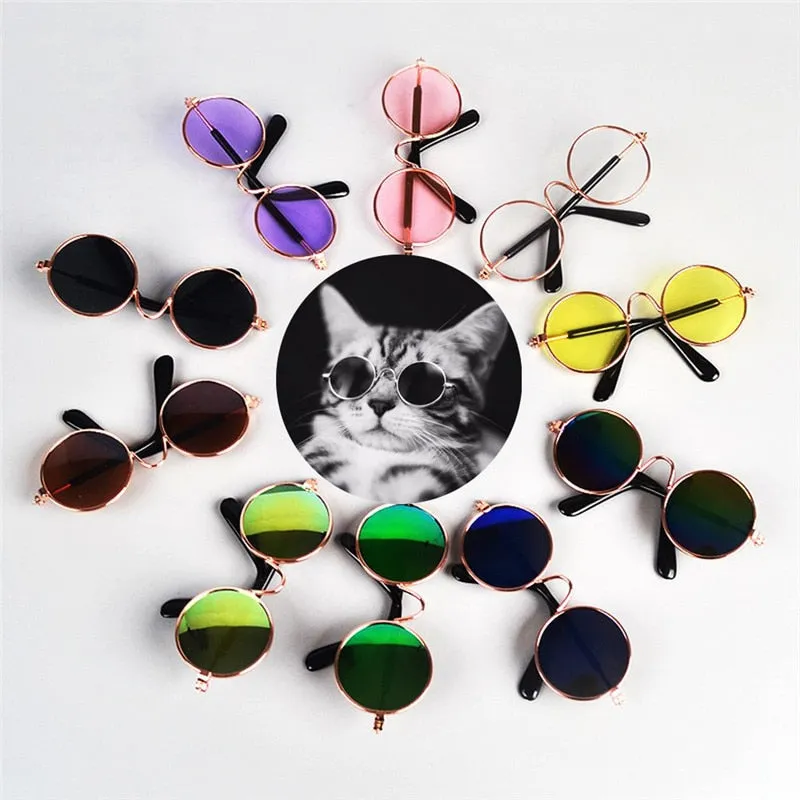 Pawnnies Dark Sunglasses