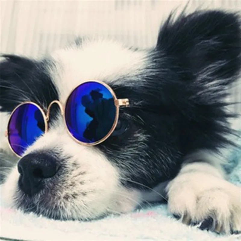 Pawnnies Dark Sunglasses