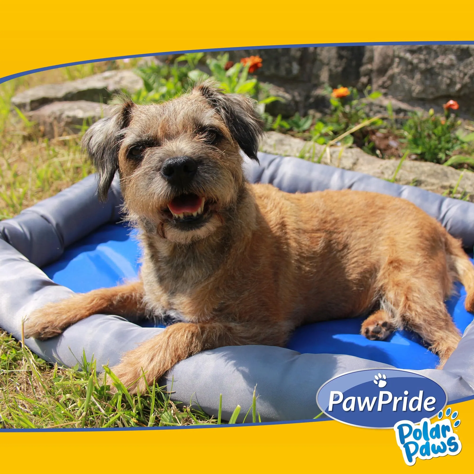 Pet Cooling Bed Mat (Large) - Pawpride