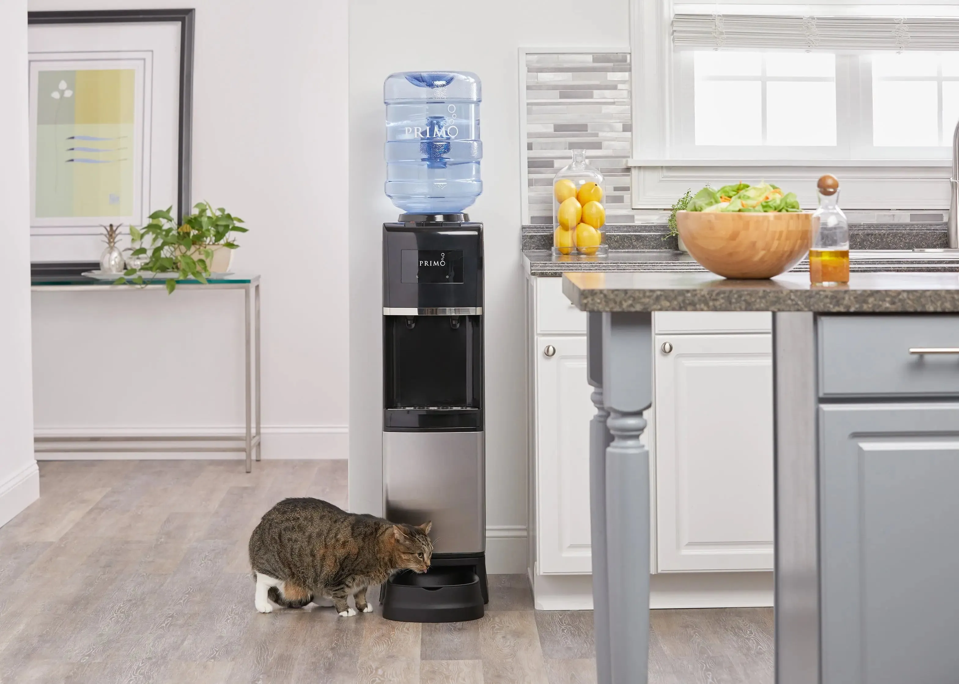 Primo® Water Pet Station Water Dispenser Top Loading, Hot/Cold Temperature, Black and Stainless Steel