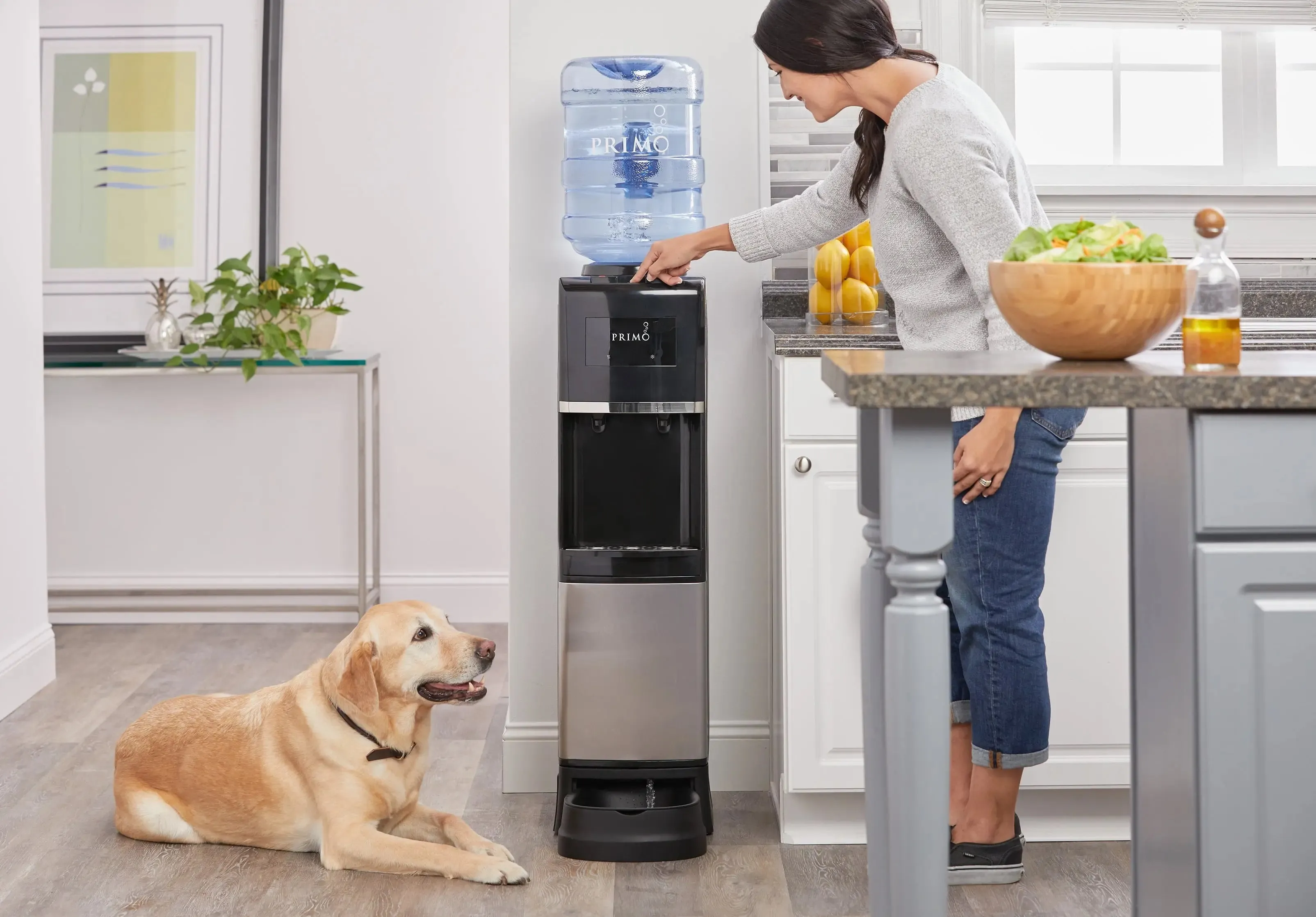 Primo® Water Pet Station Water Dispenser Top Loading, Hot/Cold Temperature, Black and Stainless Steel