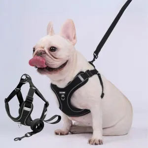 Pupure Explosion-Proof No Pull Frenchie Harness