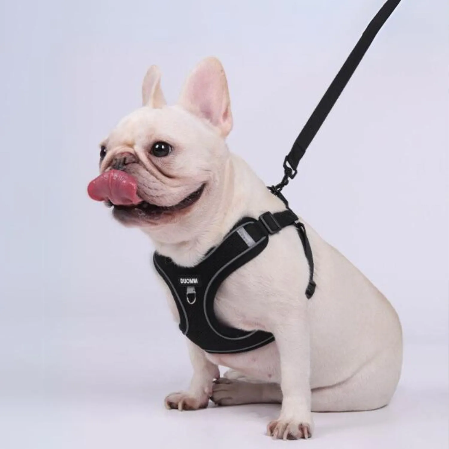 Pupure Explosion-Proof No Pull Frenchie Harness