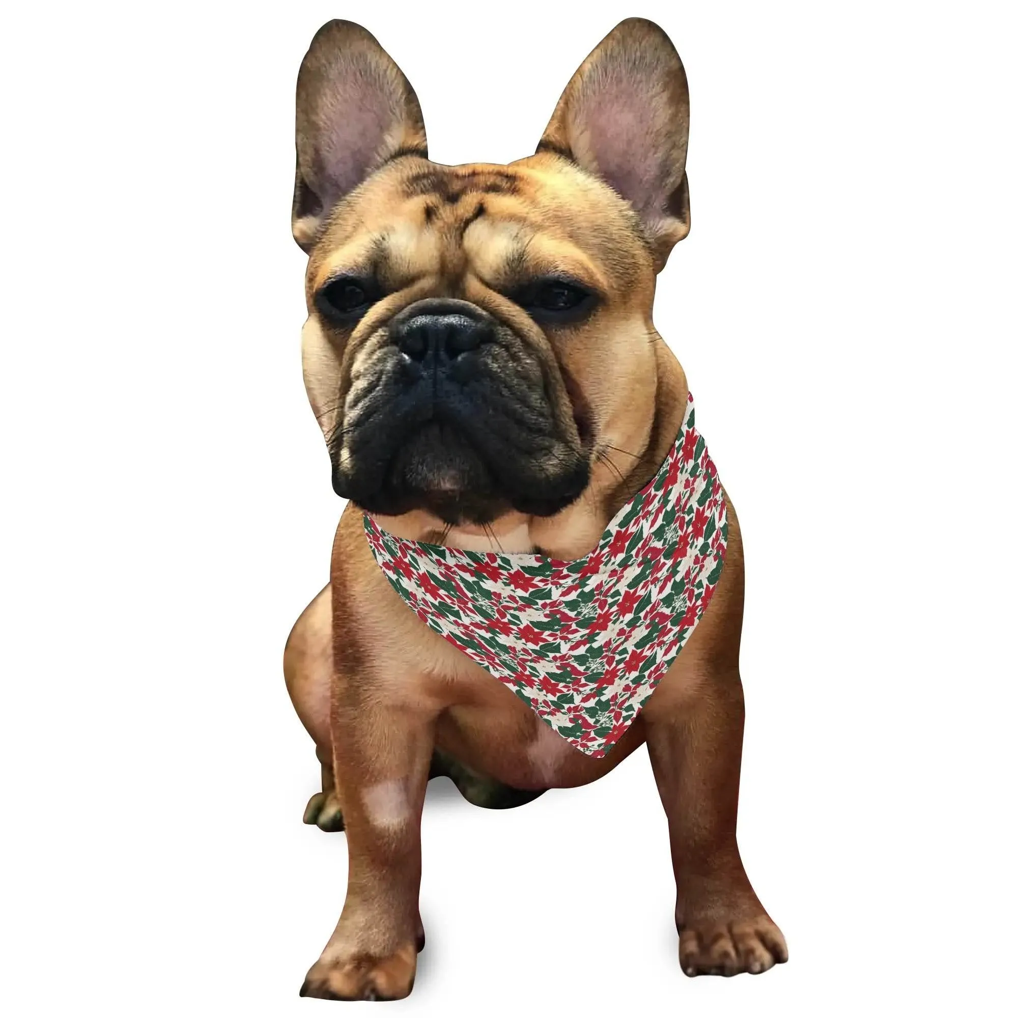 Red and White Poinsettia Flower Animal Scarf Pet Adjustable Bandanas for Dogs Cats