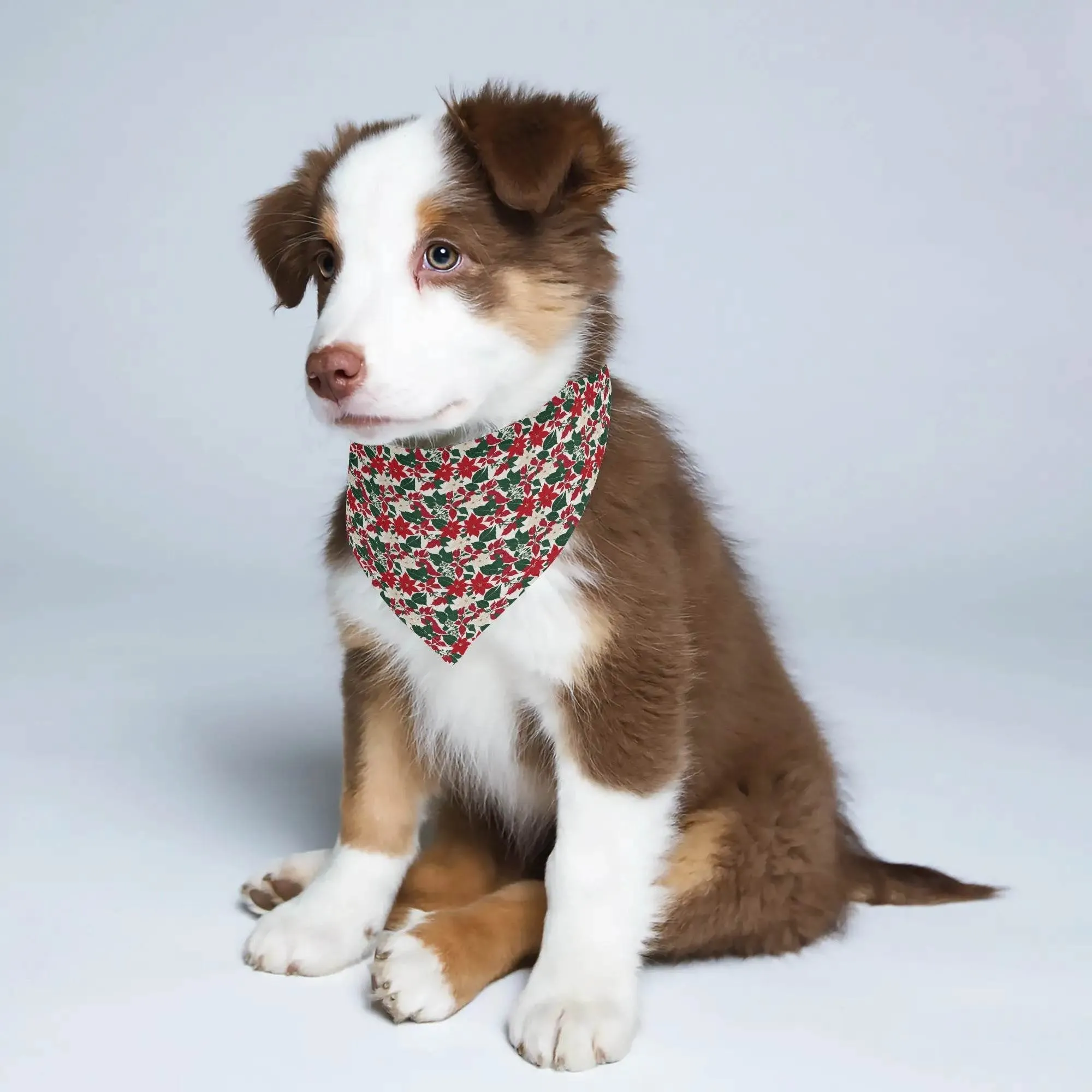 Red and White Poinsettia Flower Animal Scarf Pet Adjustable Bandanas for Dogs Cats