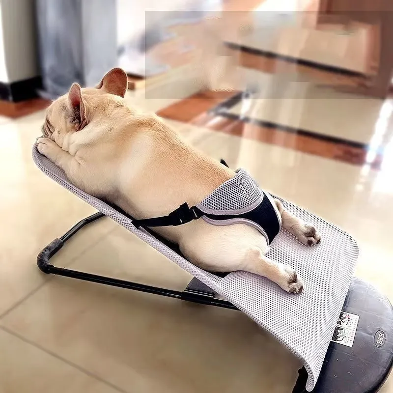 Rocking Outdoor Puppy Bed – Premium Comfort for Your Furry Friend