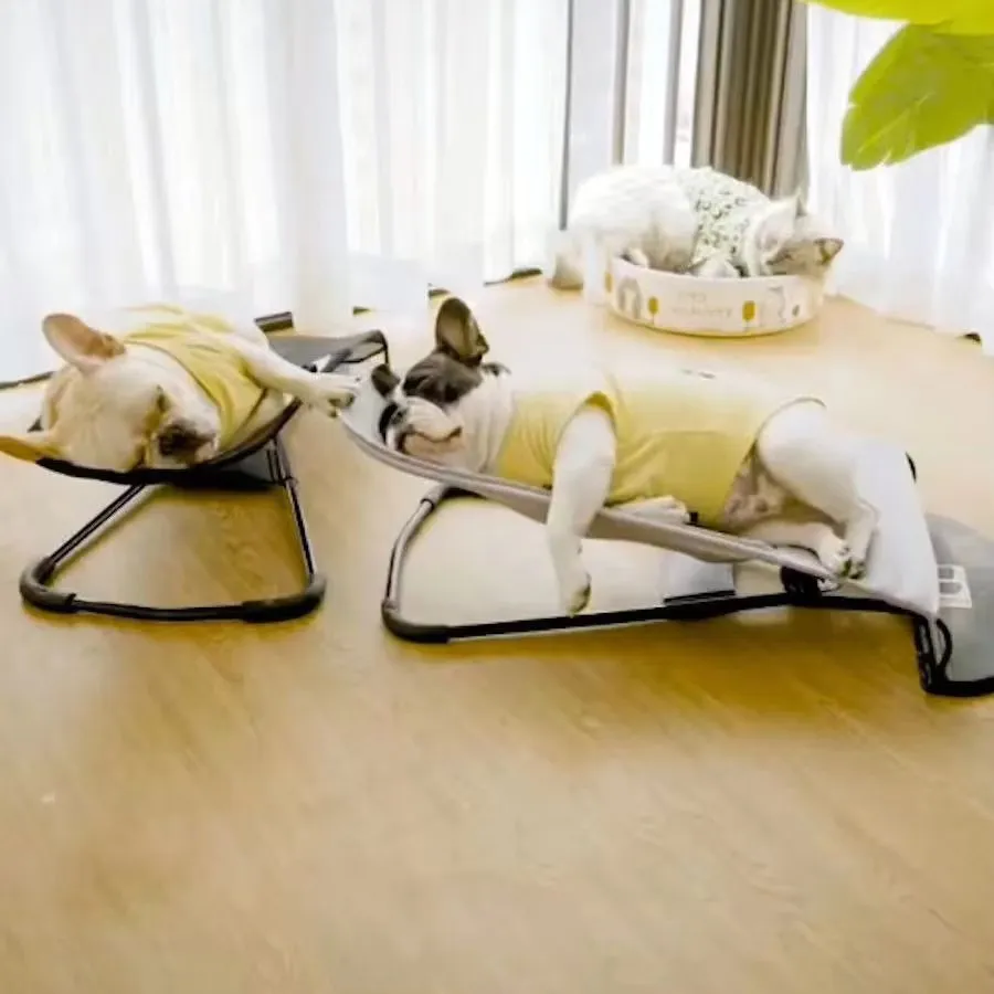 Rocking Outdoor Puppy Bed – Premium Comfort for Your Furry Friend