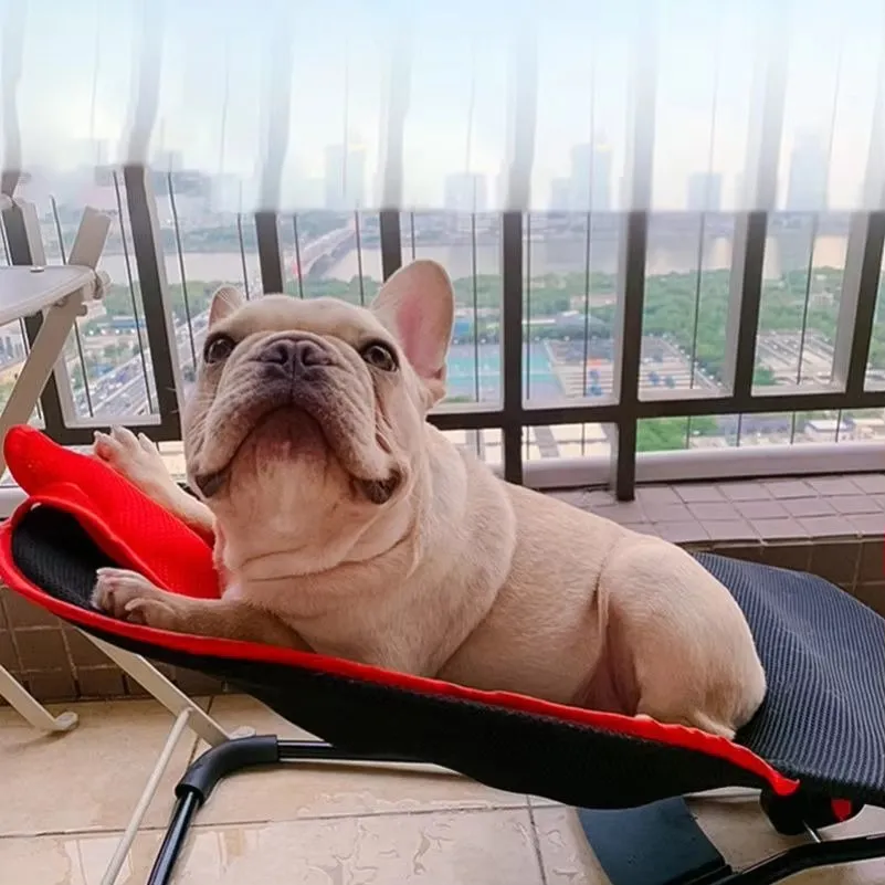 Rocking Outdoor Puppy Bed – Premium Comfort for Your Furry Friend