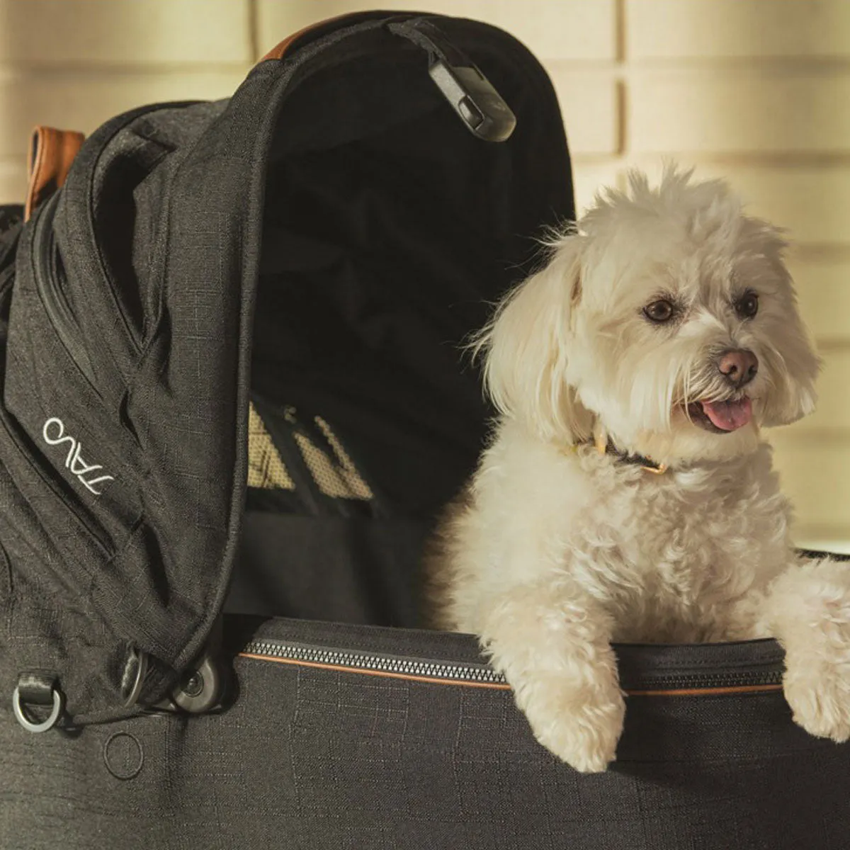 TAVO Pets Maeve Pet Car Seat - Medium Flex