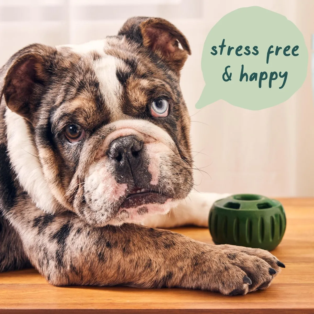 Woof Pupsicle Pops Refill Calming Peanut Butter & Beef Dog Treats