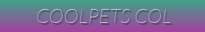 Summer Pet Essentials, Playful Accessories, Treats, and Outdoor Gear for Your Pet's Comfort & Fun